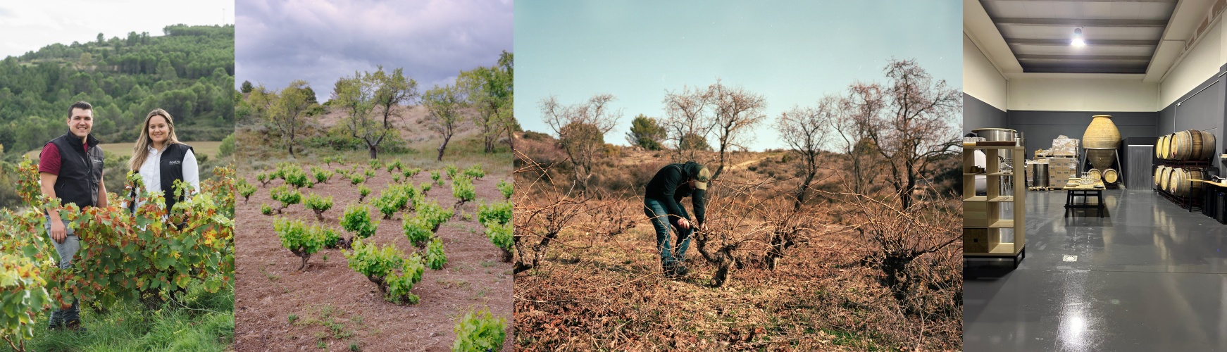 Amatria Vinos y Viñedos - D.O. Navarra NIEUW