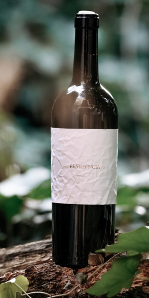 Resiliencia 2024