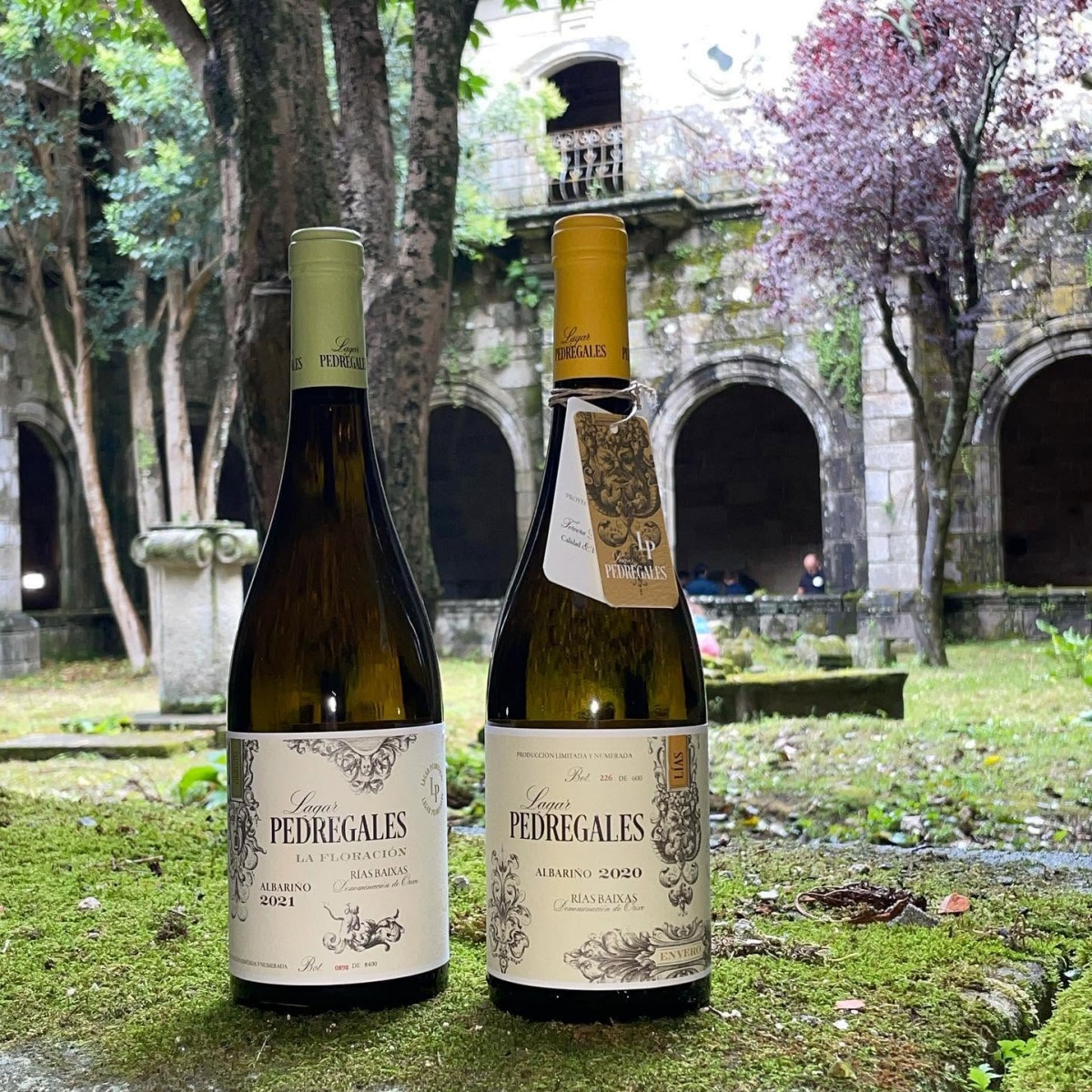 Lagar Pedregales Envero 2023 - Afbeelding 2