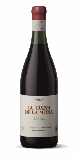 La Cueva de la Mona 2022